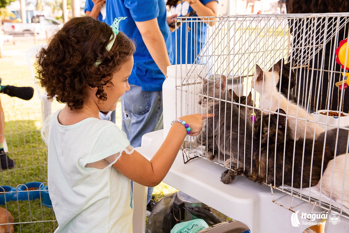 prefitaguai's tweet image. O Festival do Pet foi um sucesso! Hoje, donos de animais de estimação se reuniram em nosso evento  com seus melhores amigos.

#lovepets #secretariademeioambiente #prefeituradeitaguai #trabalhandosempre #petlovers