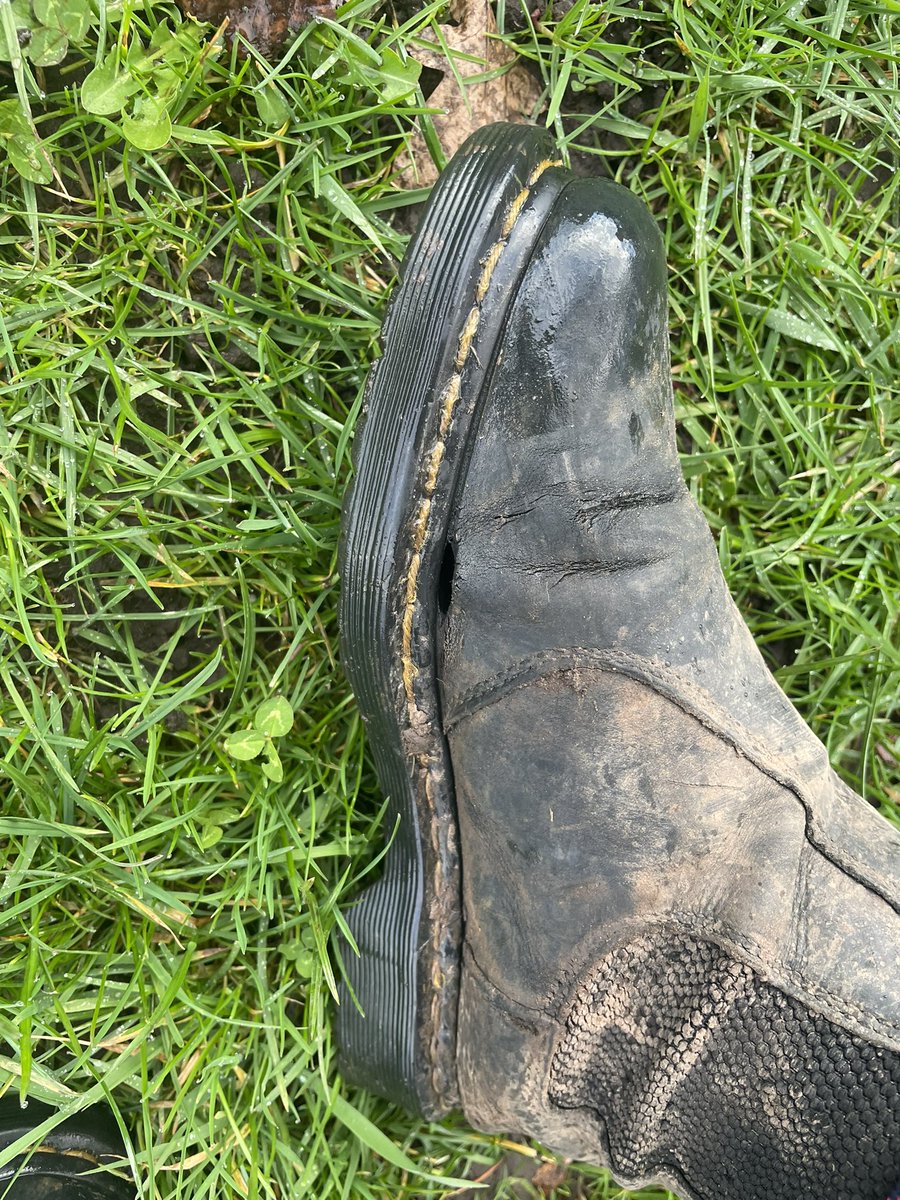 el_norris's tweet photo. 3 years of @drmartens  happiness. I’ve never been so sad about a pair of she’s breaking before 🤣🤣😭😭😭😭 https://t.co/z7mgotkqgX