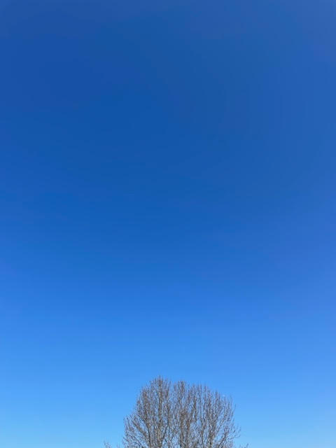 "The bluest skies you've ever seen are in Seattle" 🎤