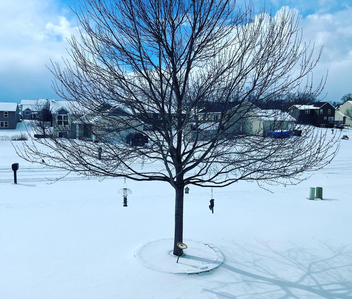 RyanBebej's tweet photo. Alternating between near whiteout conditions and sunshine all. day. long. #SpringInMichigan #TrueMarchMadness https://t.co/027A6BOsLK