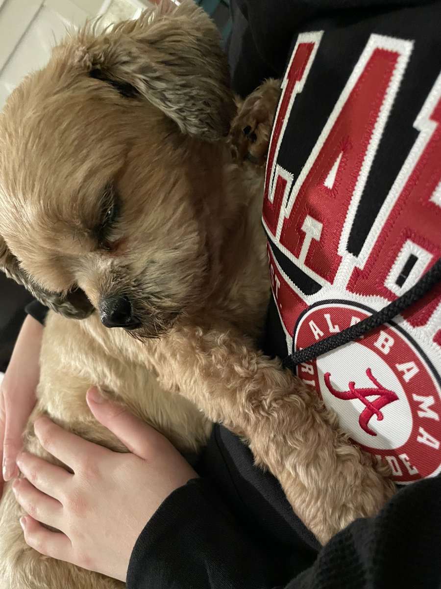 Sophie Sullivan tweet media