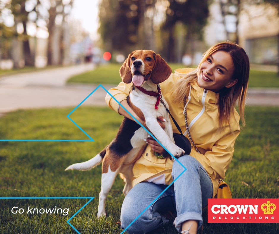 CrownReloNZ's tweet image. Feeling overwhelmed thinking about relocating with your pets?
Check out our #petrelocation guide from start-to-finish: ow.ly/3Ui050Ngj9e 

#MovingPets #PetRelocation #MovingHousewithPet #MovingGuideforPets