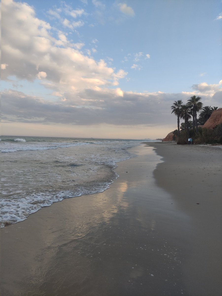 Atardeceres en la playa. #milpalmeras #sunset #photography
