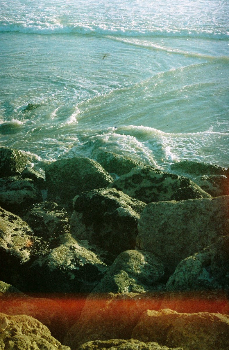 Fotografias analógicas com um rolo expirado. Final de janeiro na Costa da Caparica 🎞🌅