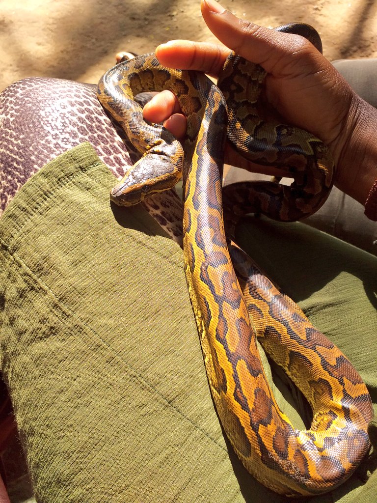 Travel with Jazel tweet media