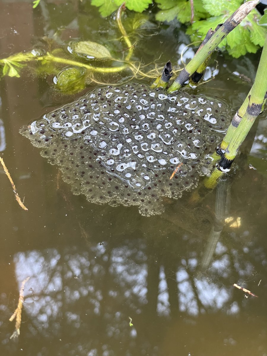 First Light Photo tweet media