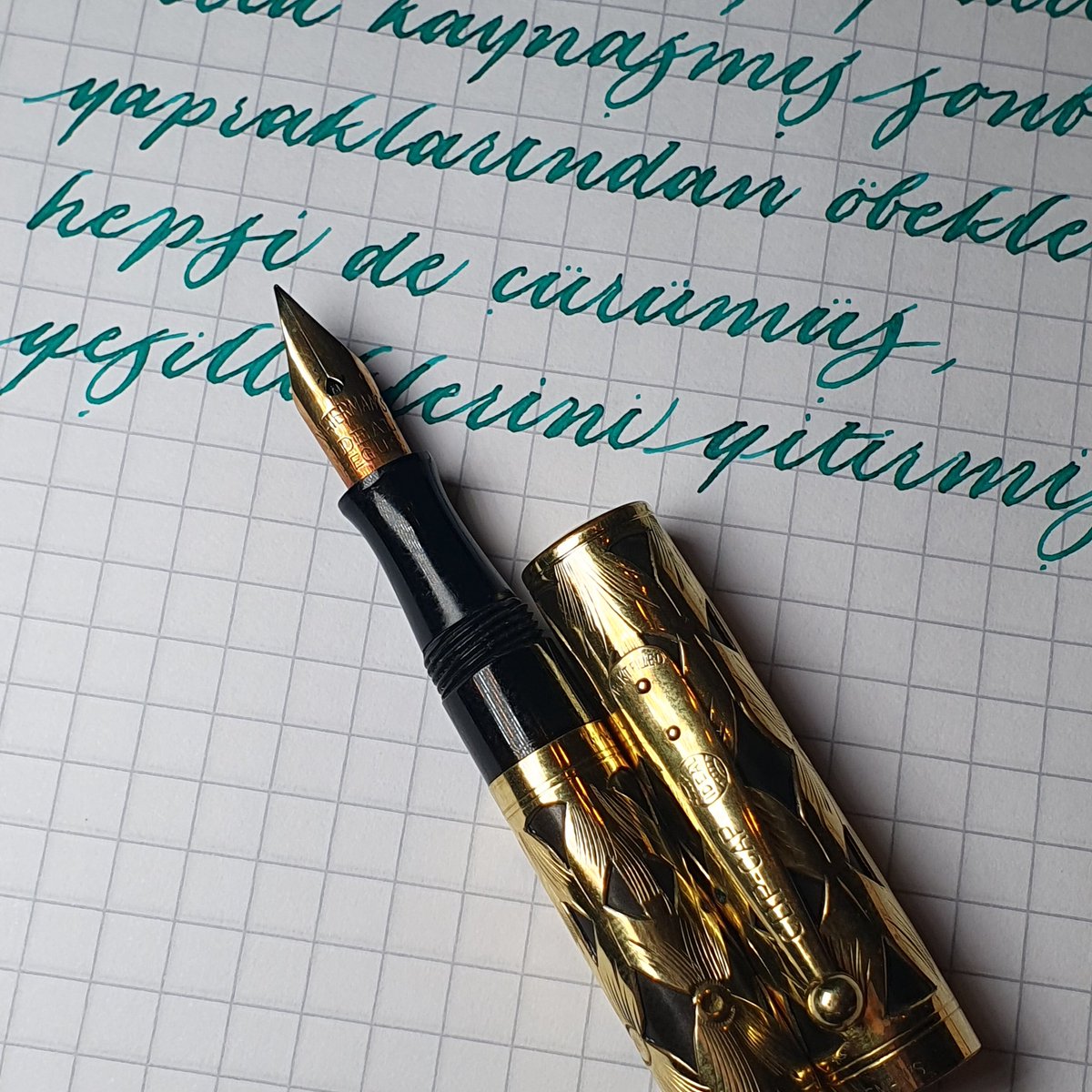 FPibr's tweet photo. Waterman's 0552 1/2
Pelikan Edelstein Jade https://t.co/CAExoEhzfG