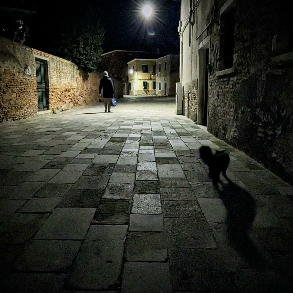 LJ_Pritchard's tweet photo. Black Furry Shadow. Look at that tail. #BlackCat #CampielloPomeri #No1Castello #SanPietroDiCastello #Caturday #CatsOfCastello #CatsOfVenice #CatsOfInstagram #Venezia #Venice #LivingOnWater https://t.co/rkQ1jfNWUS