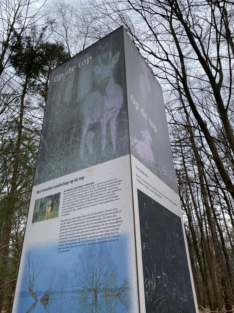 Kees de Heer tweet media