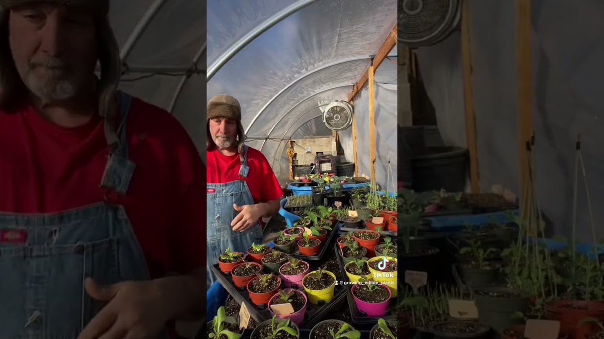 AllForGardening's tweet image. New York State zone 5a still ...
 
#ColdWeatherCrops #EdibleGardening #Gardening #Greenhouse #Growingfood
 
allforgardening.com/421459/new-yor…