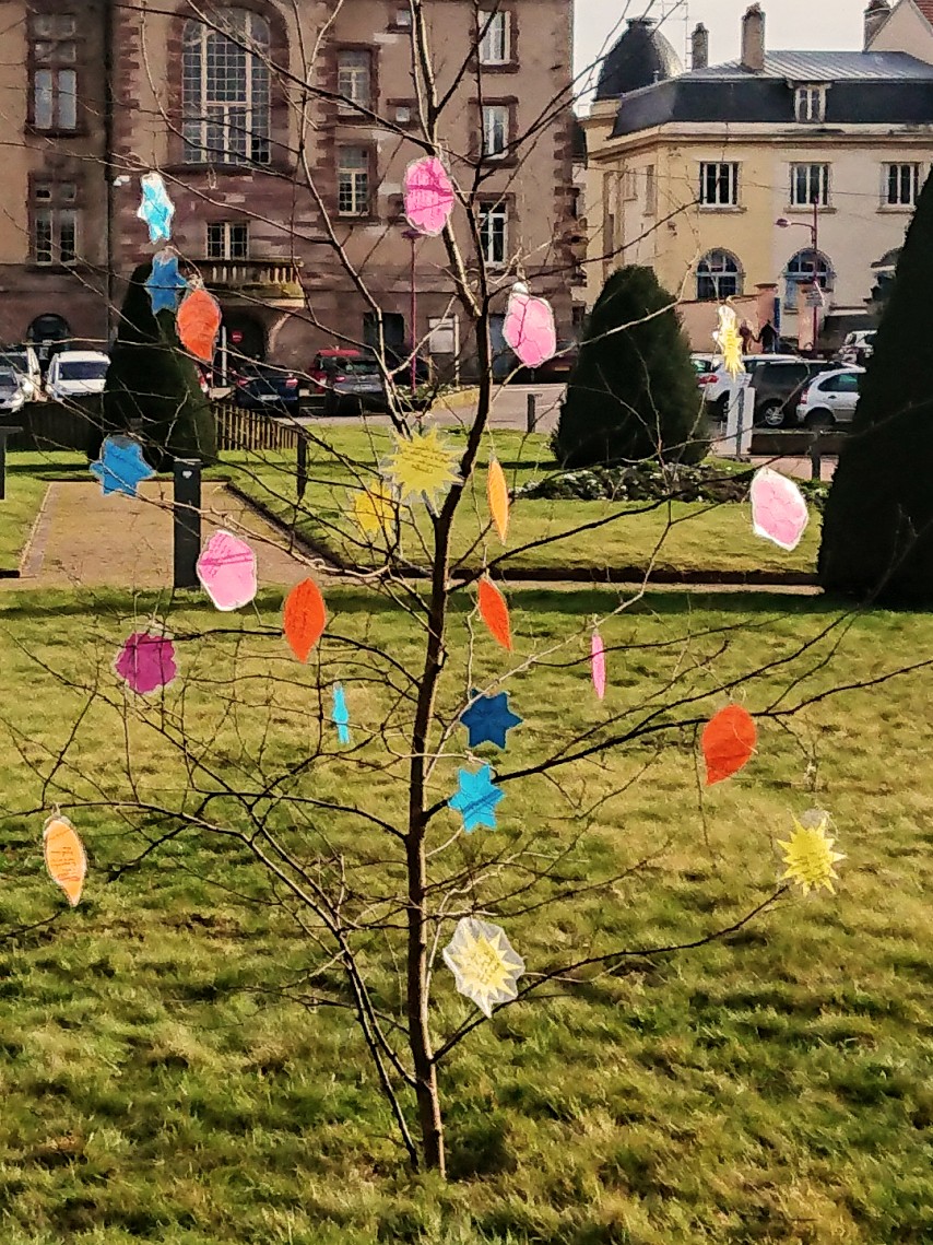 Baccadoc's tweet photo. En 6ème, une chasse aux Haïkus collaborative pour refleurir poétiquement un arbre du parc, pour le #PrintempsDesPoetes https://t.co/2ysHY2j78k
