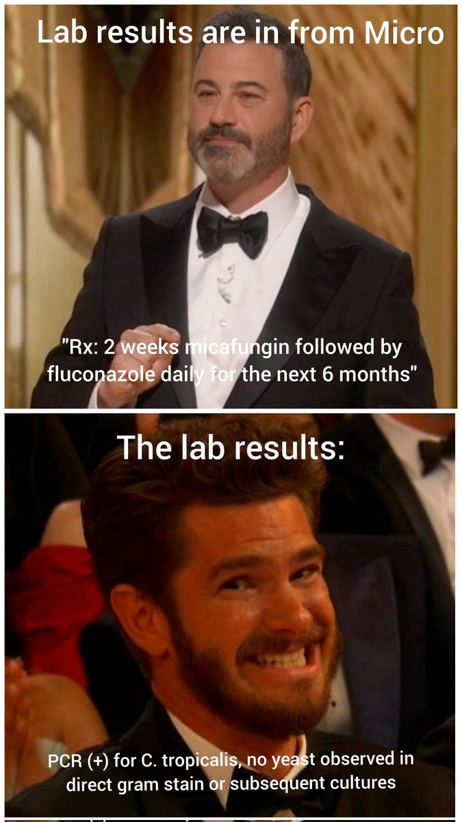 Kenneth Gavina, PhD, D(ABMM), SM(ASCP) tweet media