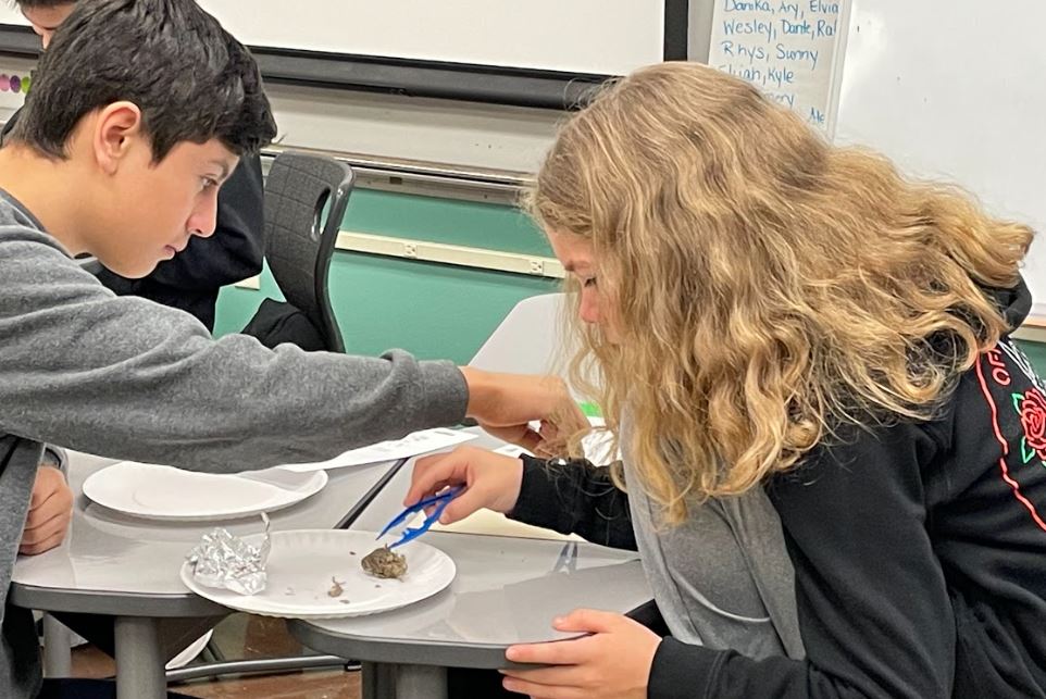 LaddAcres's tweet photo. Day of STEAM is a school day where students do lots of fun things like science, technology, and more! Students in STEAM learn lots of things including engineering! #StudentVoice https://t.co/vvwLZKZ6Tk