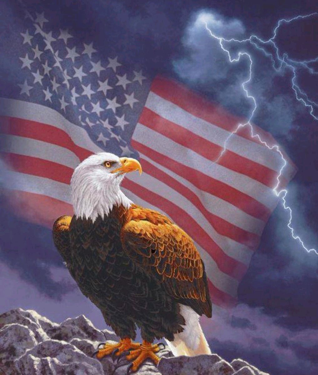 Attention all Patriots!🌹❤️ <a href="/girlnamed_Seth/">Seth</a> ❤️🌹is closing in on the 20,000 Followers milestone! Let’s unite to give her a lift to reach this marker. Seth is a true MAGA Patriot Lady and is also a fantastic friend. If ya aren’t already following her, please do so. Let’s roll!