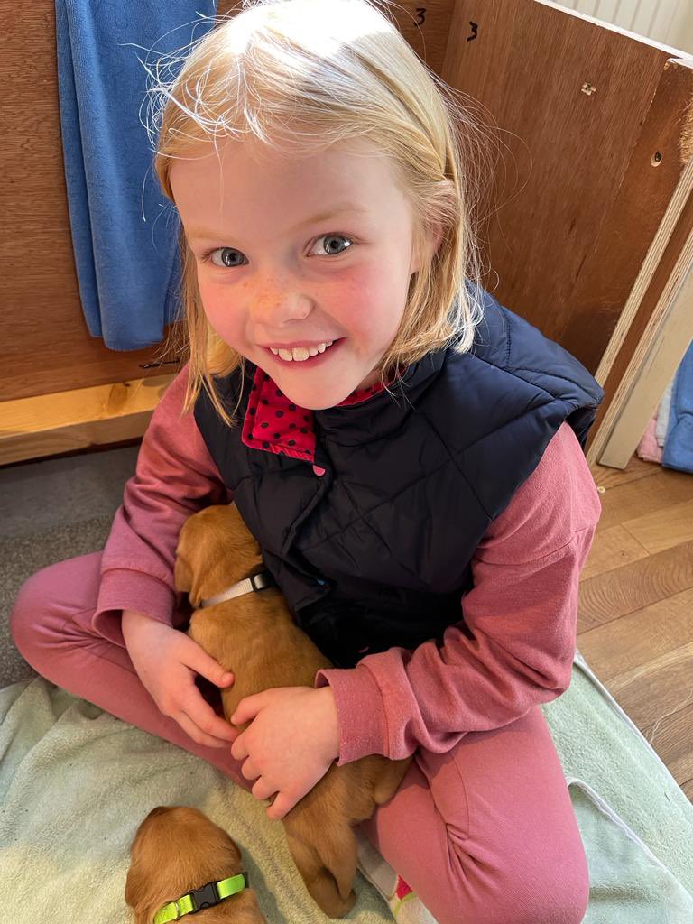 Lizzie Biggs tweet media