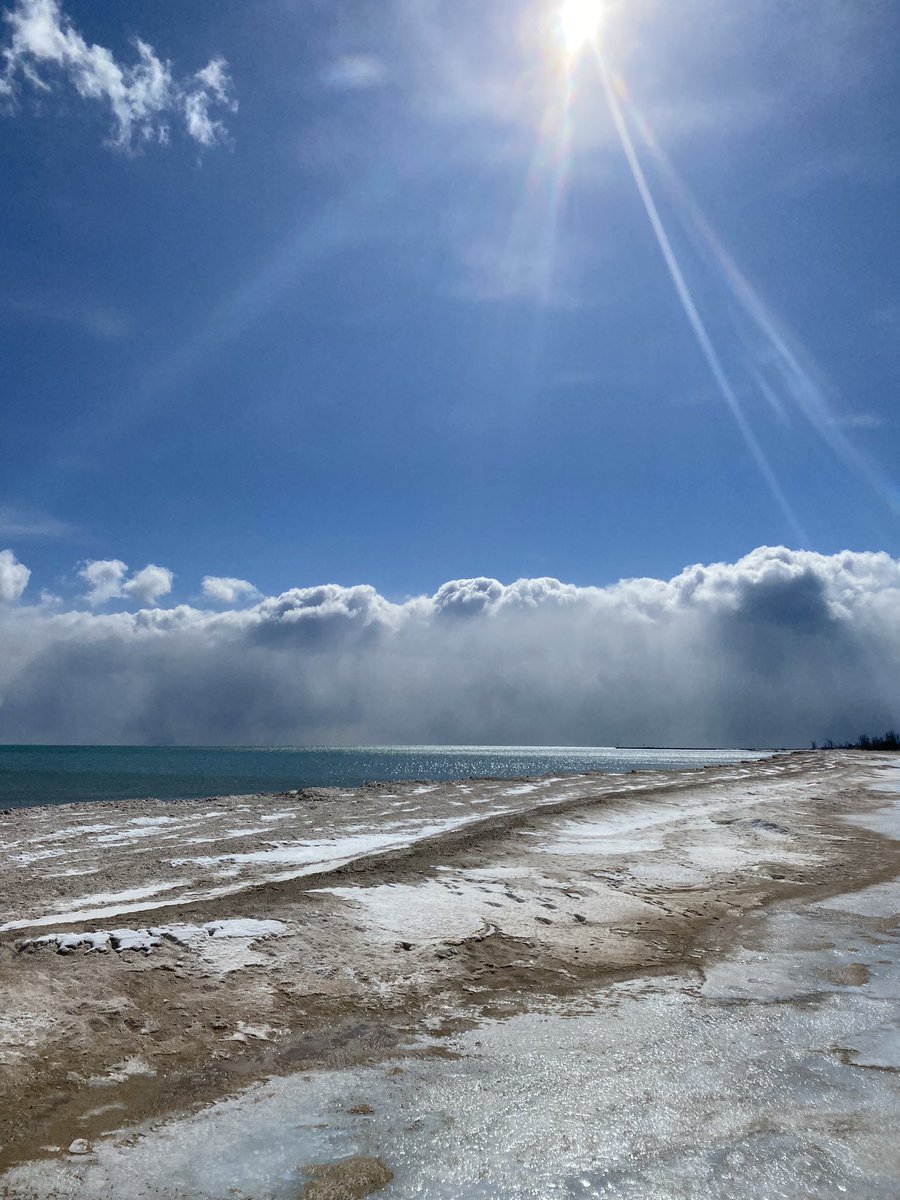 Nicole de B tweet media