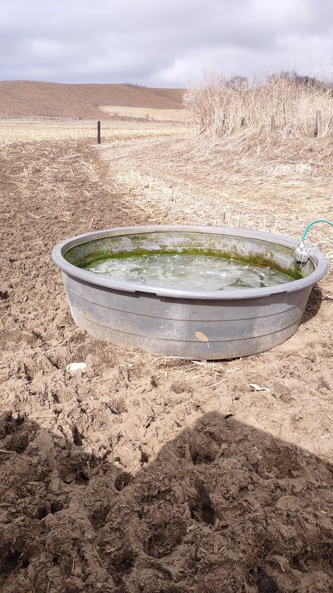 Chopping ice in western Iowa on March 18th shouldn't have to be a thing