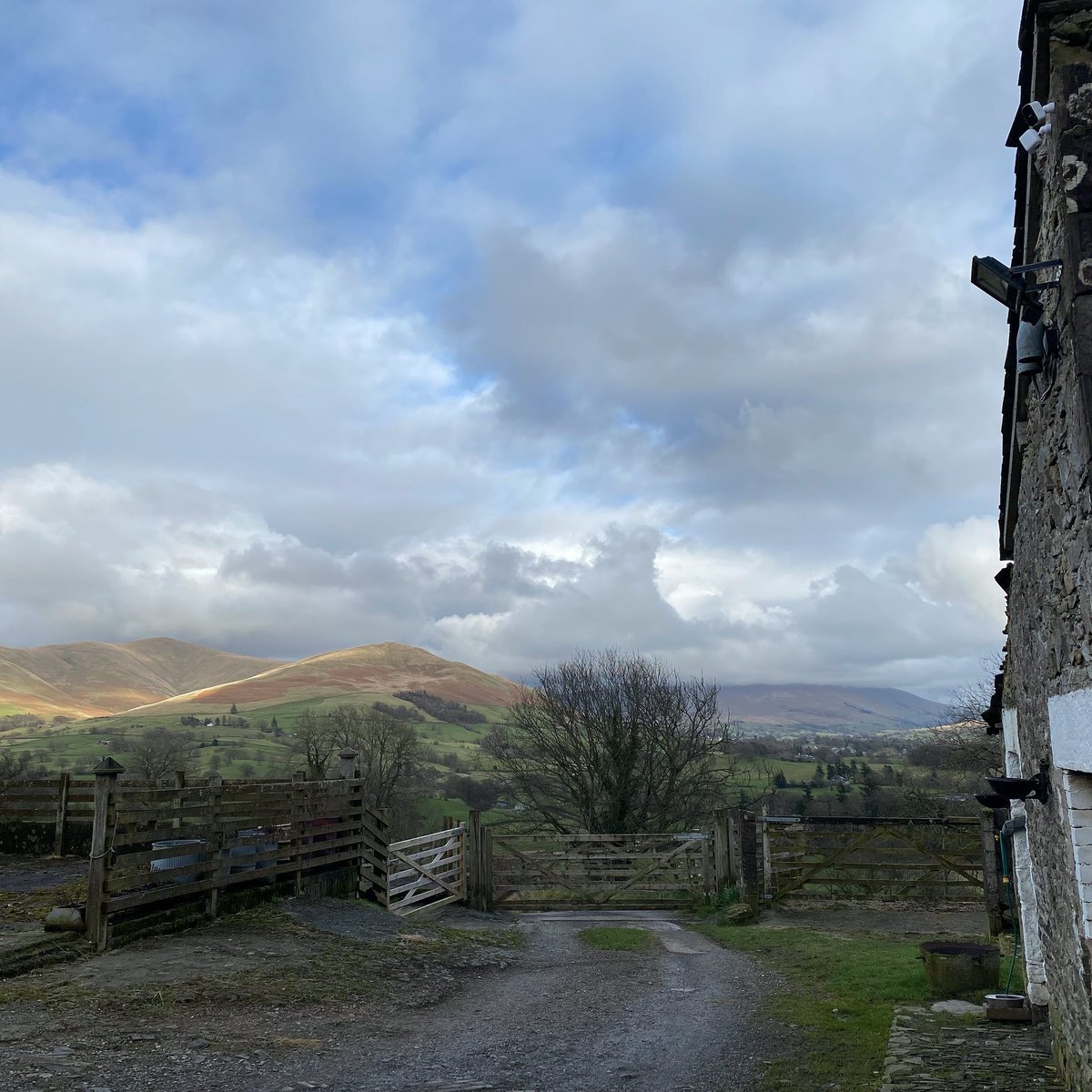 woolismybread's tweet image. Mr Blue Sky … please stay 🙏💙