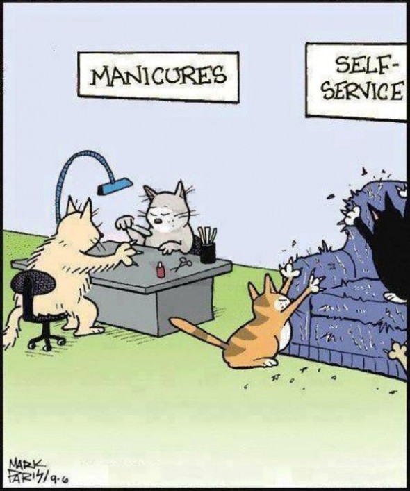 Irena Buzarewicz (@irenabuzarewicz) on Twitter photo 