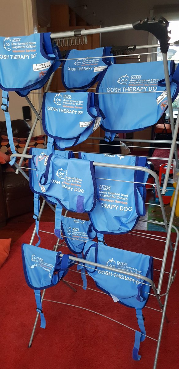 GOSHVolunteers tweet media