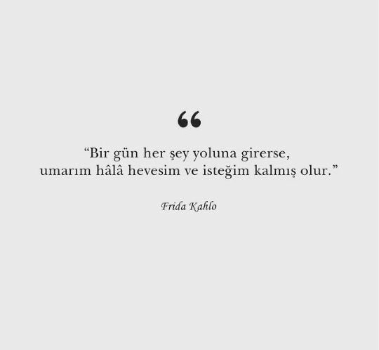 Ertu 🐨 (@ertuucandann) on Twitter photo 