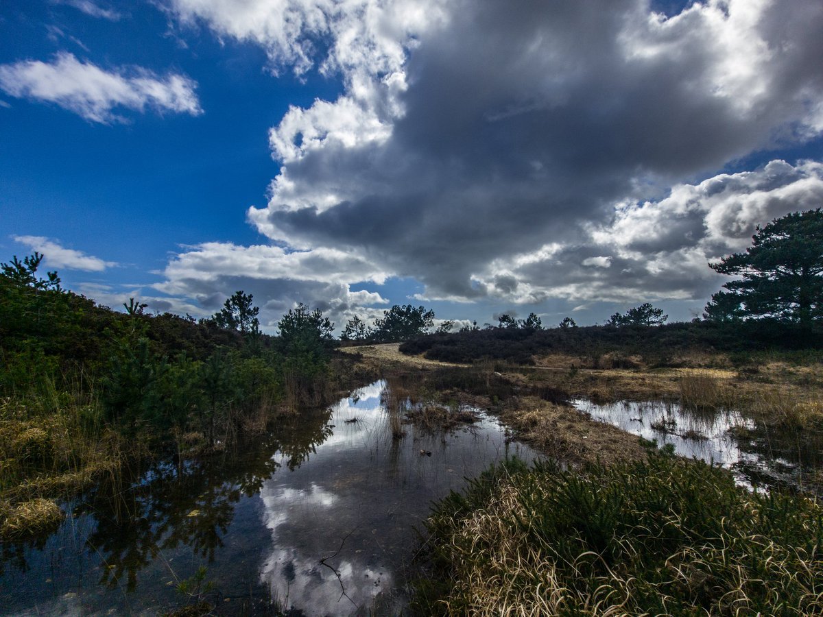 MetJayy's tweet image. Convective skies occurred once again this afternoon, beautiful ⚡️🌧
-
@metoffice @PhotographyWx @BBCSouthWeather @AlexisGreenTV @ThePhotoHour @StormHour #loveukweather #ominouscloud #stormcloud