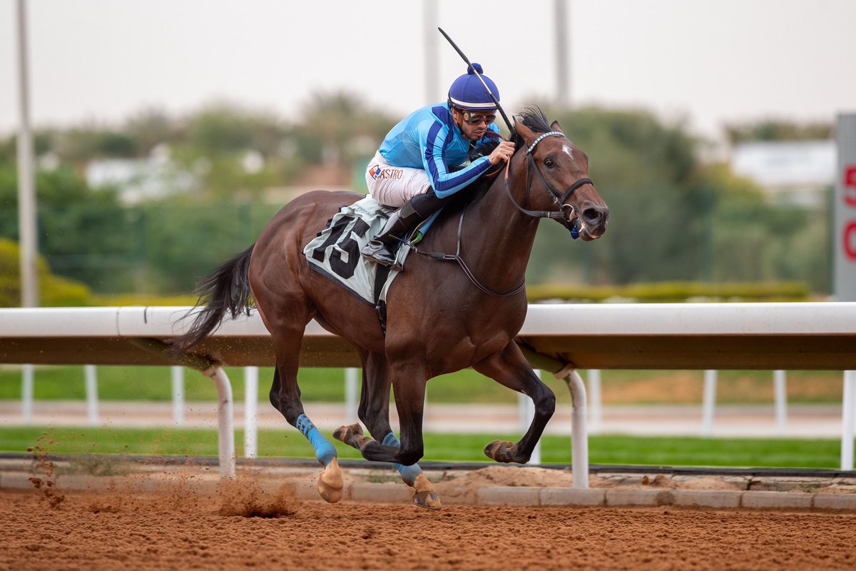 الزعيم ينتصر ابن ديستوريتد هيومر والام بنت افليت اليكس شاركت واختها كسبت ٢ G2، مشترى بواسطة احمد العبداللطيف ب ١٢٠ الف دولار من اوكالا مارس بريز ٢٠٢٢م، الف مبروك للجميع ومتبوعه