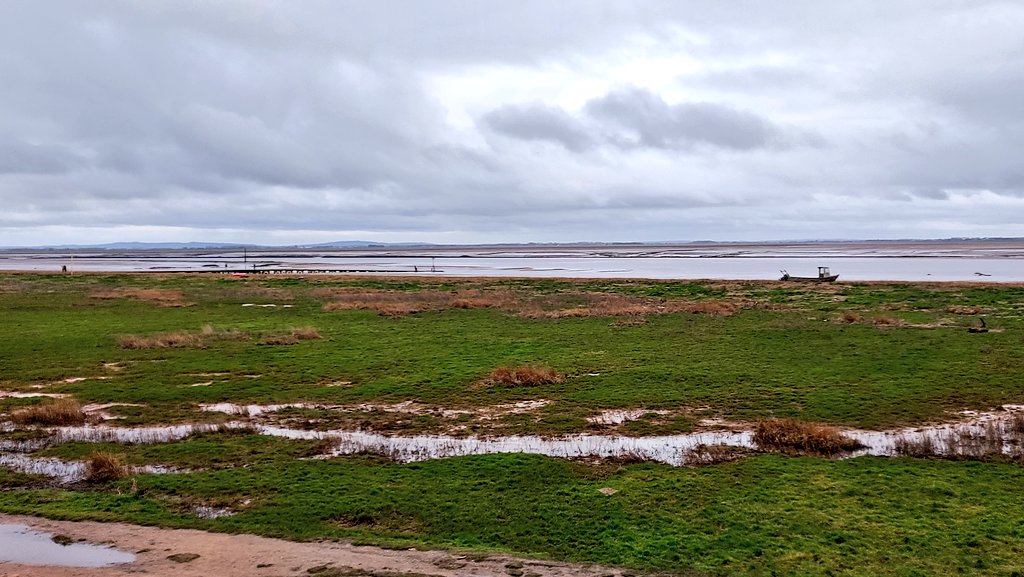 coombes_angie's tweet photo. Nice walk along #LythamProm cloudier than it was earlier. We're now in #TheTaps @Tony_Ginger #Daffodils & #LythamWindmill in the background https://t.co/Ouu0AS4cO4