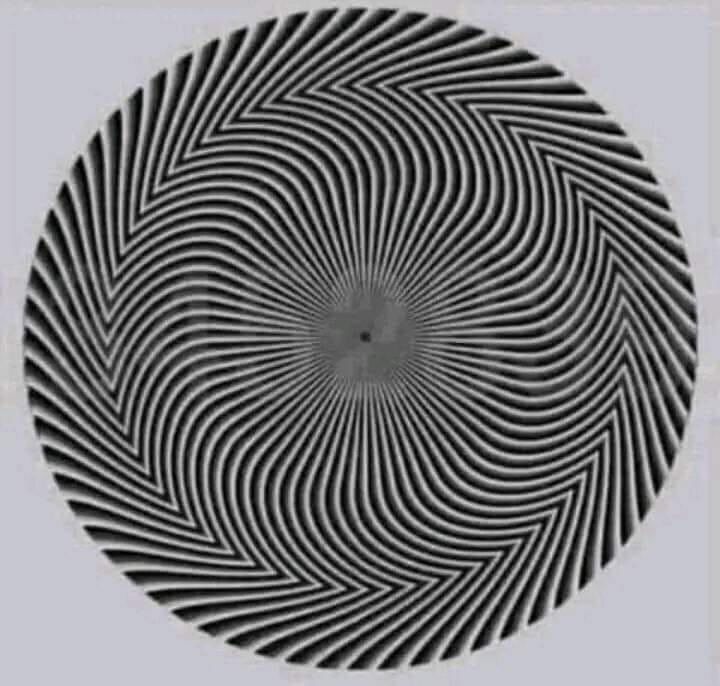 ⚠️ Don’t follow this man called Stan🐕 tweet media