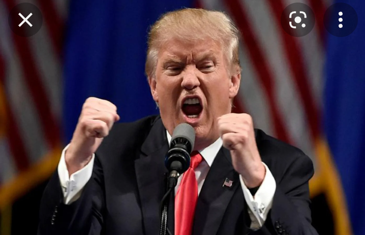 VABVOX's tweet photo. I want a perp walk.
I want a mug shot.
I want those tiny little ineffective fingers covered in fingerprint ink.
It's way past time.
#LockHimUp https://t.co/ZvLvqaukNA