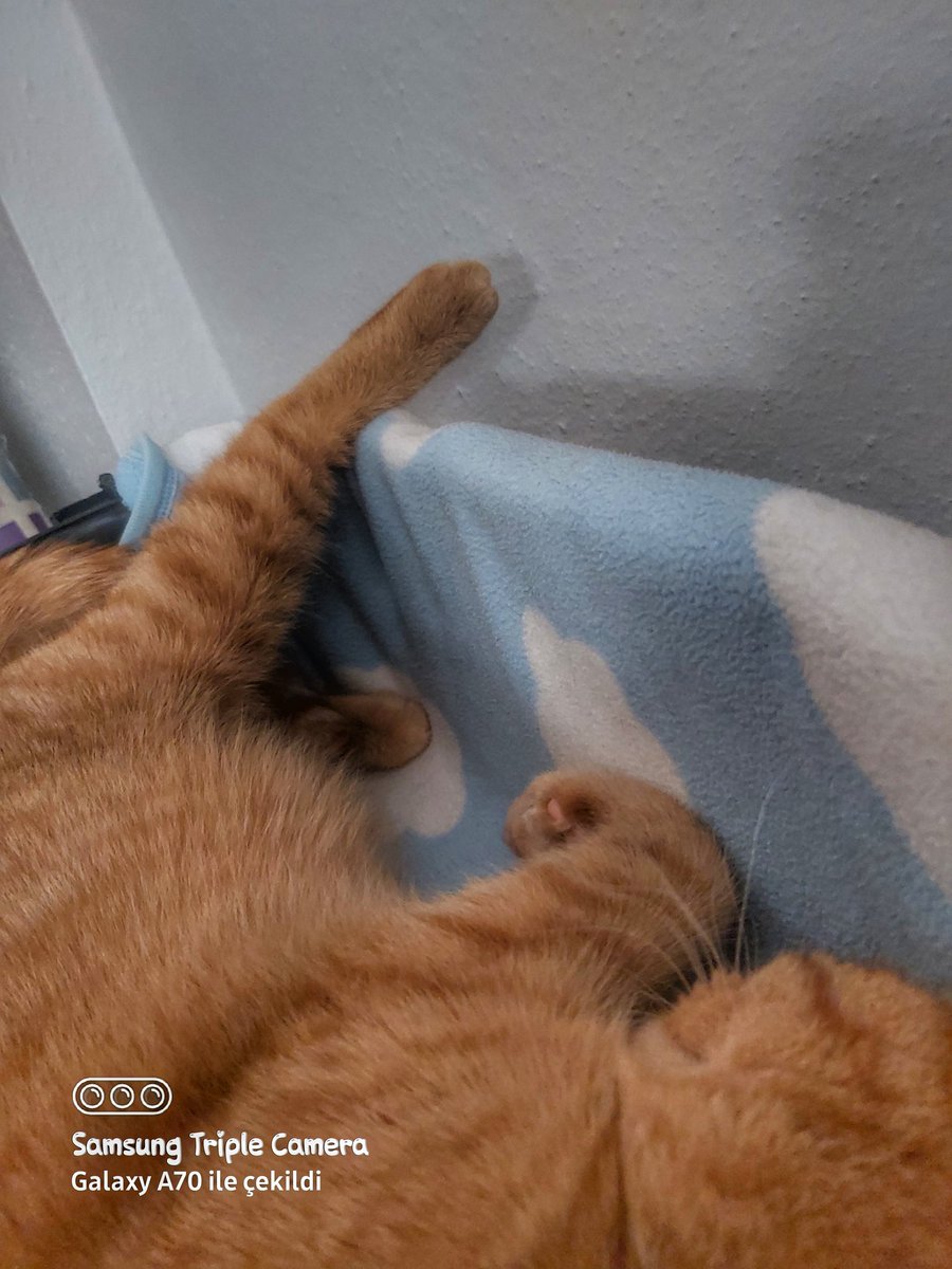 Pazar günü için birsuru plan yaptıktan sonra, gercekte olan mod ekteki detay😅