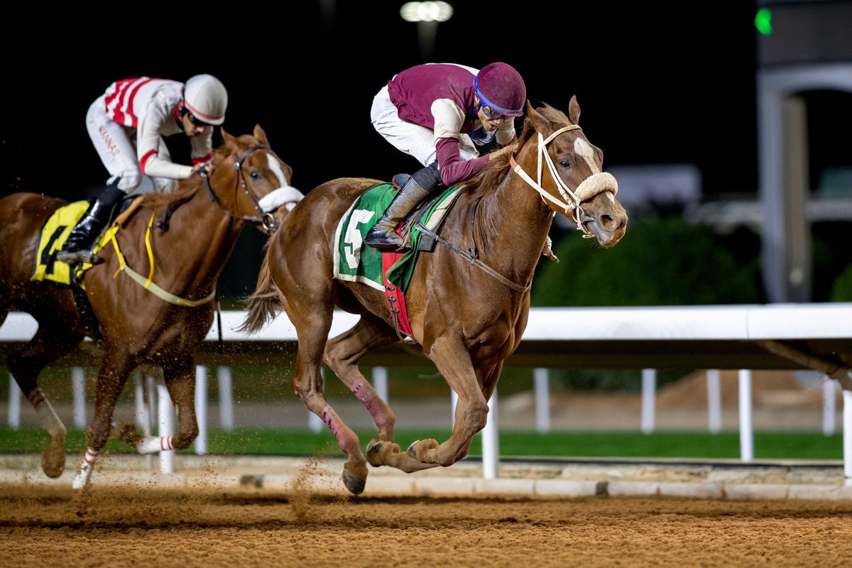 فرع ينتصر ابن بيز بليتز والام بنت شيروكي رن شاركت وانتجت مبريه حلت بالميزان، من انتاج اسطبل المنقوش والام متواجده عند اسطبل المضمار الان، الف مبروك للجميع ومتبوعه