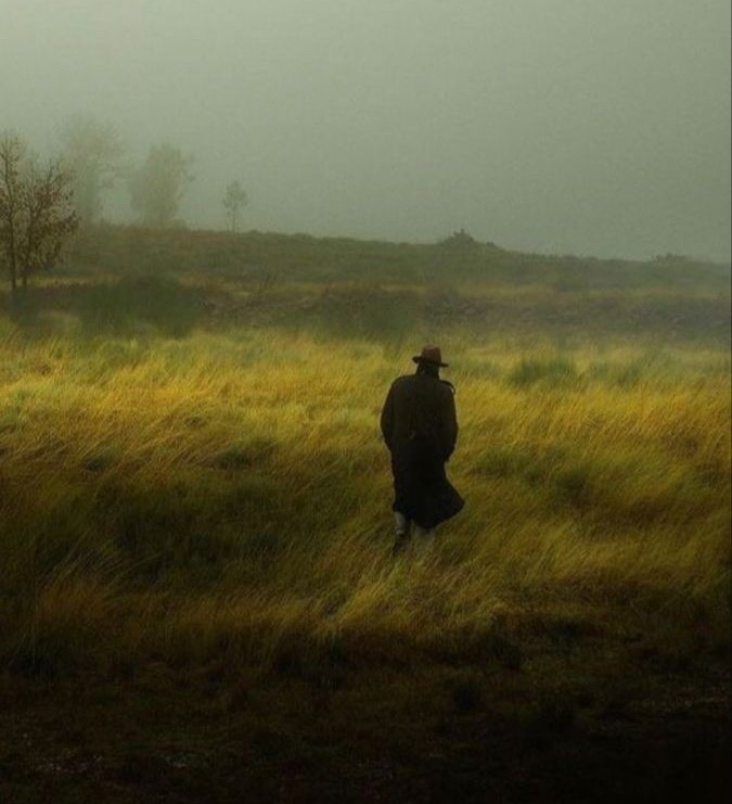 "Olgunlaşmak kalbin daha hassas, kanın daha sıcak, zekânın daha işlek, ruhun daha huzurlu olması demek."

 Cemil Meriç