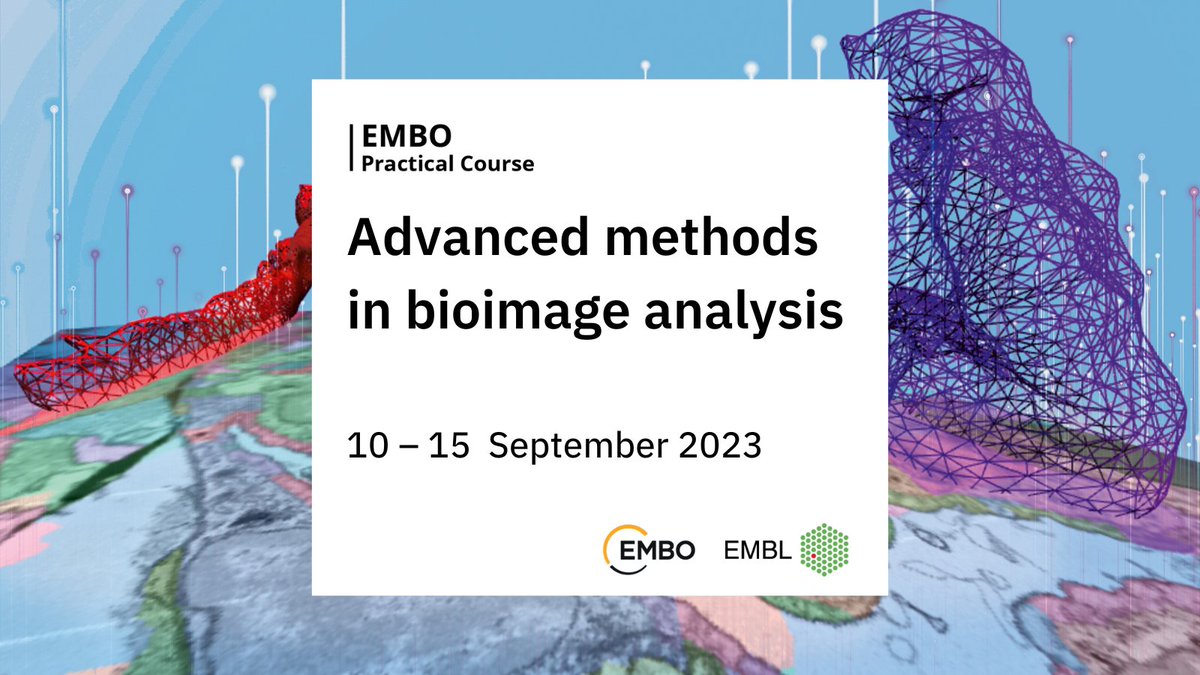 Bioimage analysis has become a keystone of biological research! Join this advanced #EMBOBioImage course that concentrates on teaching cutting-edge concepts and tools for quantitative #imageanalysis 💻🔬

📩Register by 18 June
📍EMBL Heidelberg
🌐s.embl.org/bia23-01