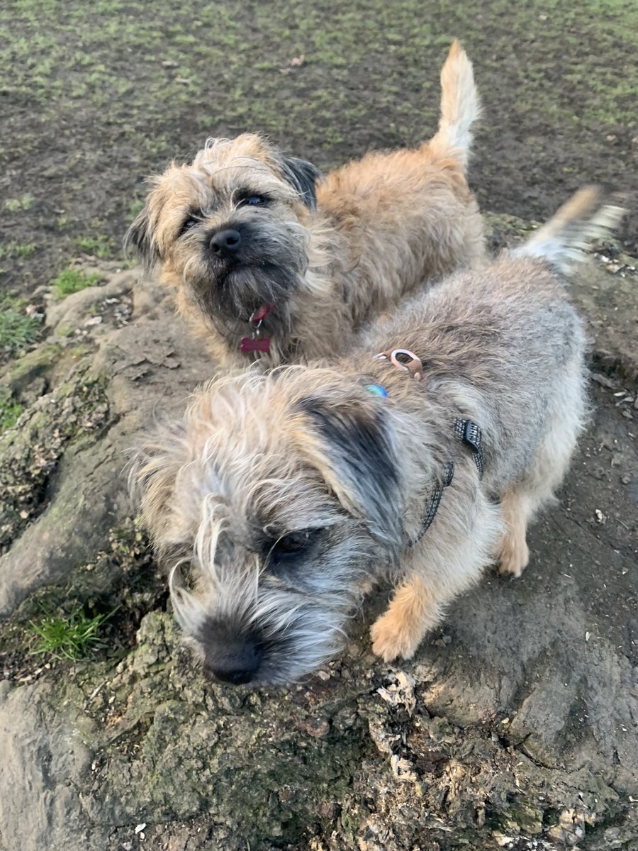 George & Janice tweet media