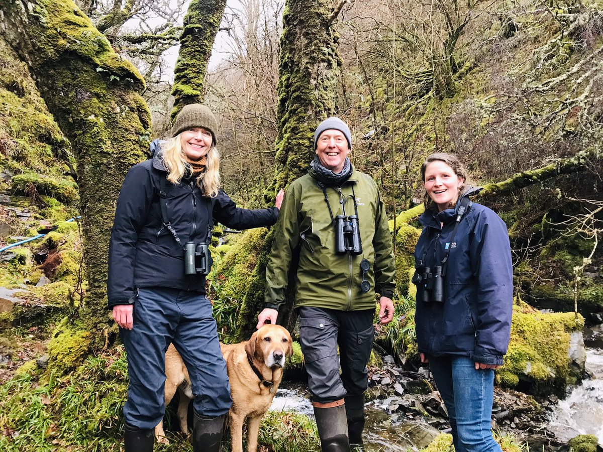 A fab afternoon exploring the very remote, recently-acquired <a href="/RSPBScotland/">RSPB Scotland</a> reserve at Glencripesdale on northern edge of Morvern - with site manager Izzy Baker, RSPB chair @kevnjcox, Donna Cox &amp; <a href="/LouisaCasson/">Louisa Casson</a>