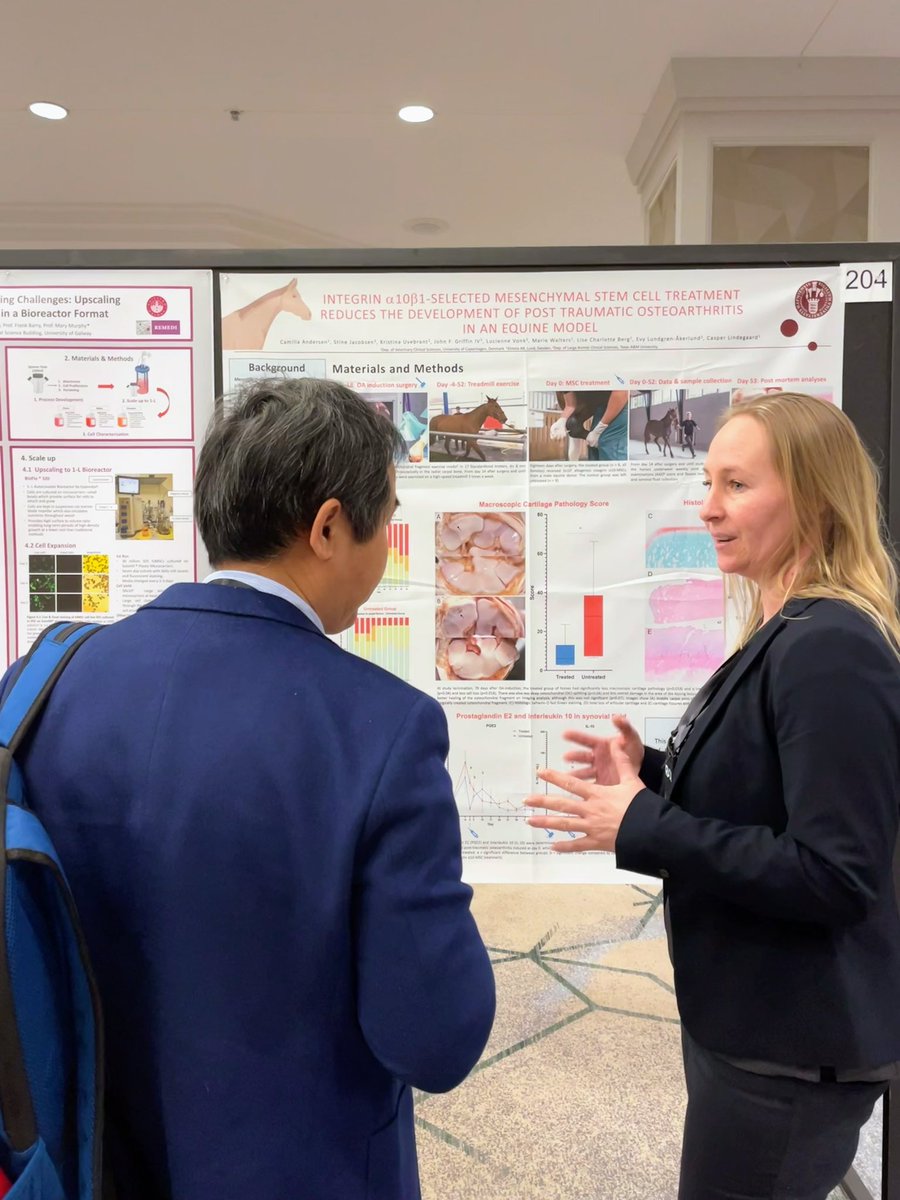 Happy to be back at #OARSI2023 Stop by poster 204 and I can tell you more about my current activities