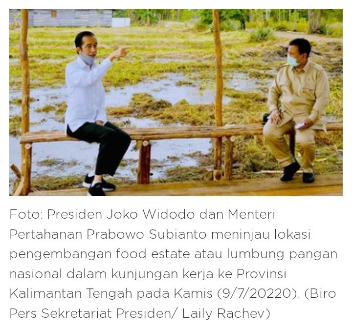 RomitsuT's tweet image. Sudah tahu tanah berpasir dan banyak mengandung granit malah dipaksa buat tanam singkong dalam proyek food estete. Wajar saja saat panen singkongnya sekecil wortel.
600 ha mangkrak dan 17.000 ha lahan gagal panen. 

Entah ilmu dari mana yang mereka pakai.....

#ProsesHukum