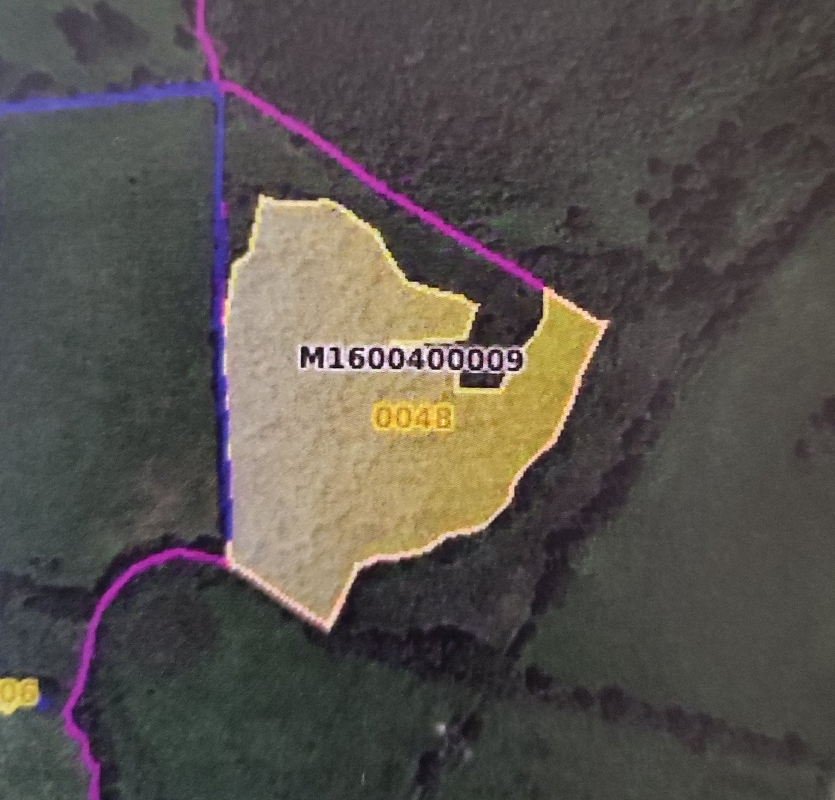 hqmulligan's tweet image. 1/2) A strange, depressing feeling to be entering into a new CAP cycle, &amp;amp; after all the rhetoric about encouraging farmers to support nature, we're still penalized for having left this large native woodland intact. The Dept of Ag has marked it as ineligible because it's "trees".