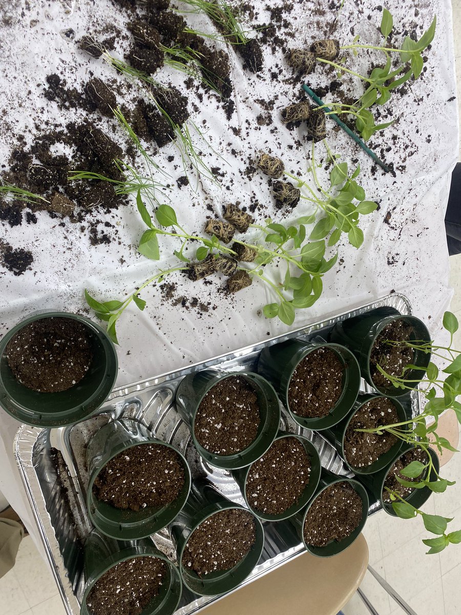 Mrs_Mazzuca's tweet image. Morning well spent volunteering at the science fair! #wearechesternj