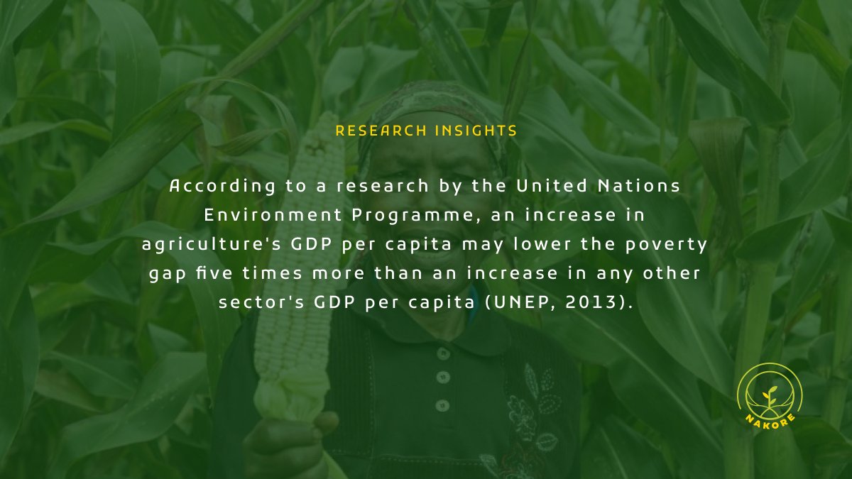 This finding is significant because agriculture is a vital sector for many developing countries, providing employment and livelihoods for a large proportion of the population. 
#Nakore #GrowAtYourOwnPace #SDGs #Africa #InclusiveBusiness #AgricTech