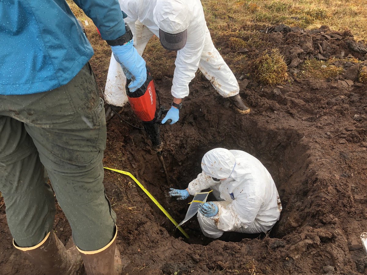 OK so #permafrost is thawing all over the place but how are microbes taking advantage of the heat wave? In this new paper @bakerccm reports soil microbial composition through an entire growing season at Imnavait Creek, Alaska. <a href="/RobynBarbato/">Robyn Barbato</a> @mildlybasic iopscience.iop.org/article/10.108…