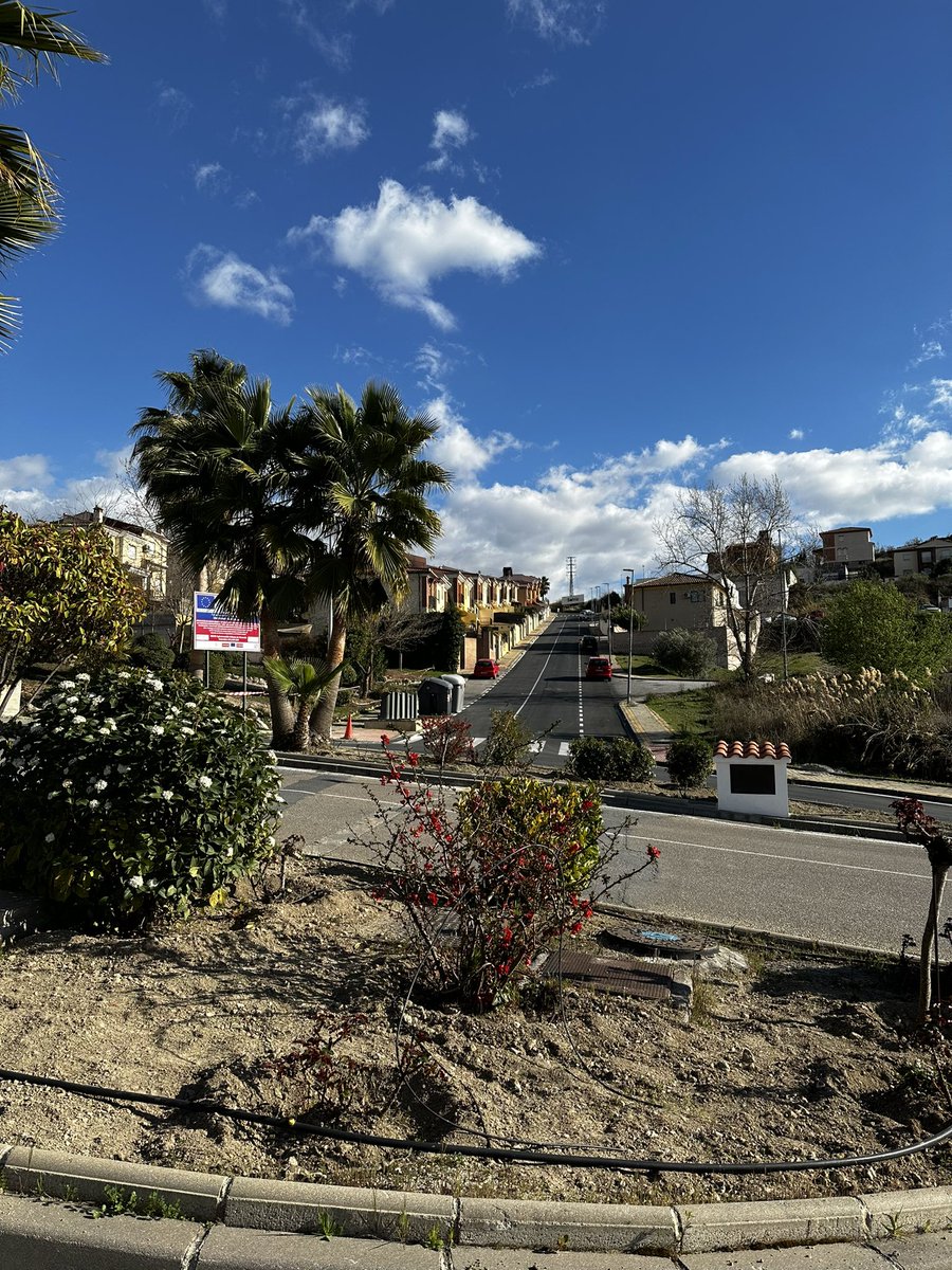 Aurora Suárez tweet media