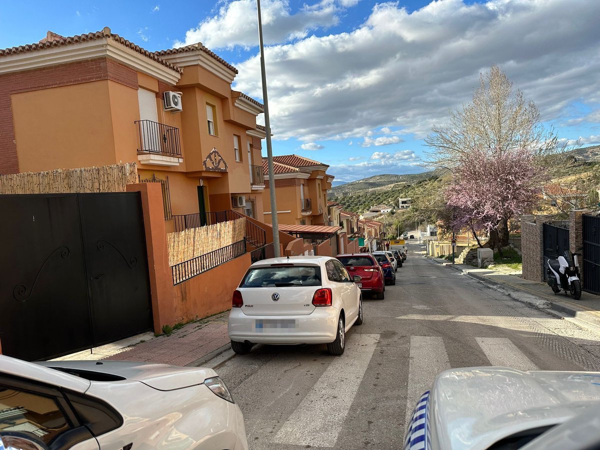 Aurora Suárez tweet media