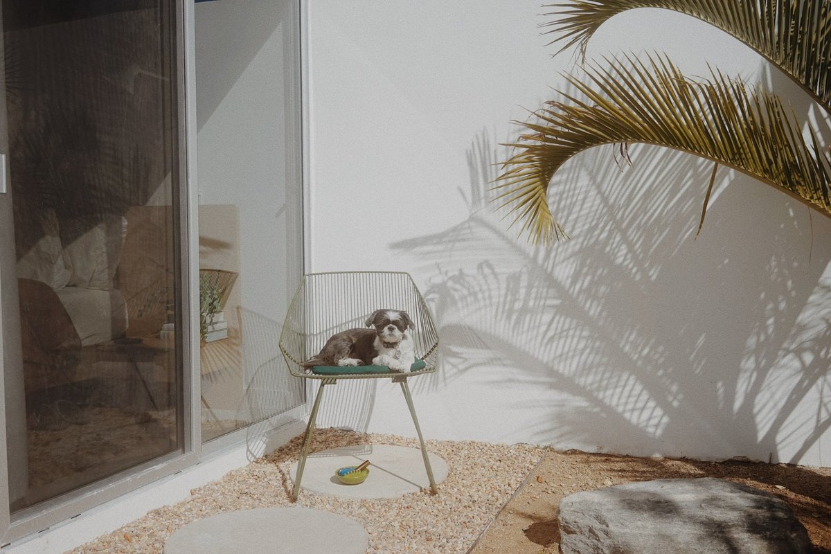 Matt Allard tweet media