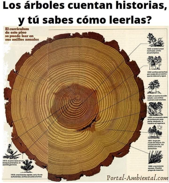 Mar Verdejo Coto tweet media