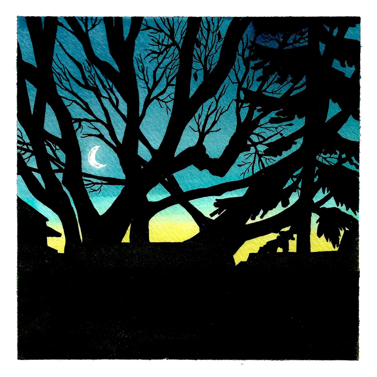 Outside my bedroom window one night