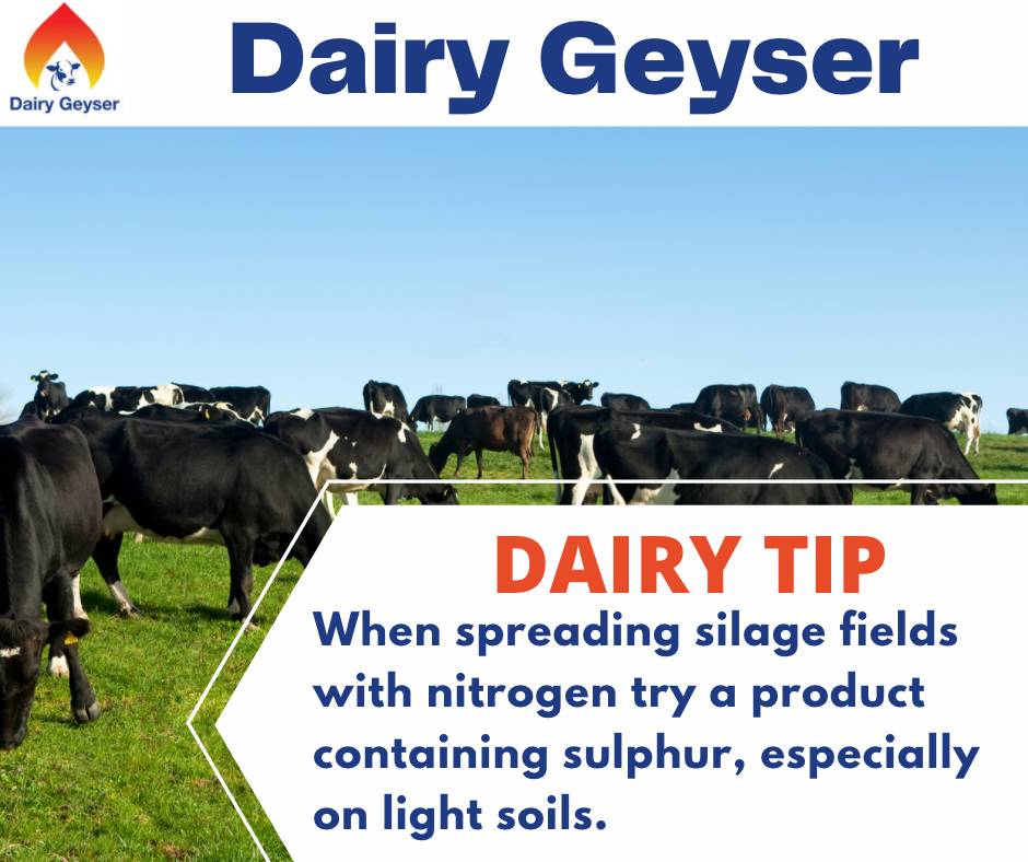 Farming Tip for the week..
To know more about Dairy Geyser, call us @0872362397
Visit us: dairygeyser.ie
#dairyfarm #farmers #farming #farmingtip #agrilife #irishagrilife #farmersinireland #farm #agriculture #farmlife