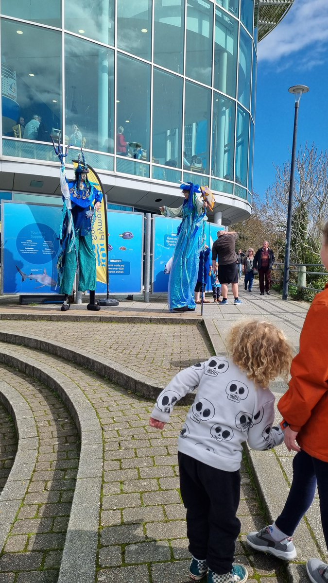 Tor Froud tweet media