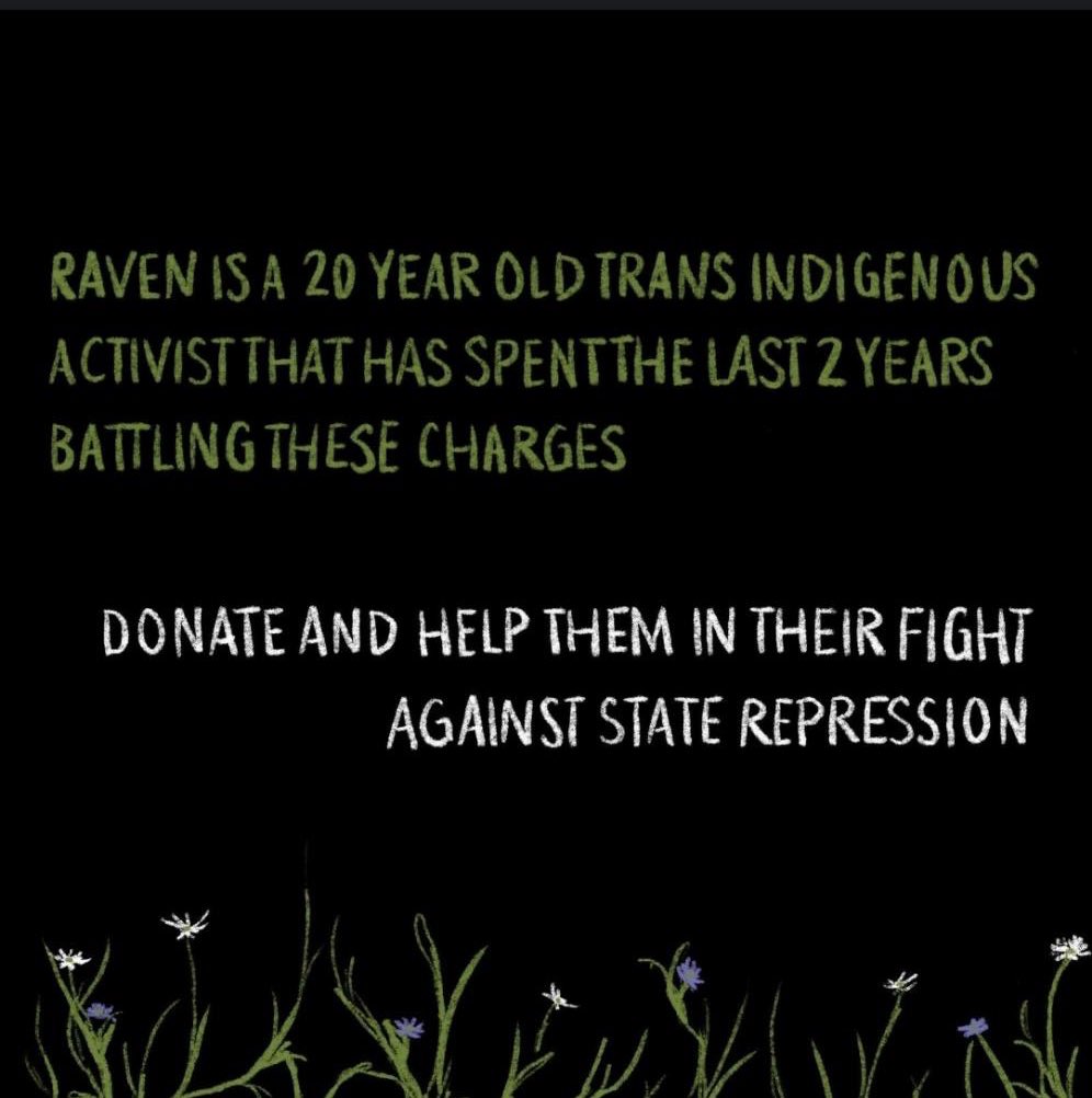 FredTheFriendly's tweet image. Please donate to help Raven!
